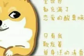 520当天适合单身贵族发的文案，单身人士快来这里集合图片