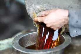 蛇酒变蛇尸液！22年蛇酒喝一杯就中毒，30年蛇酒喝到出现生理反应图片