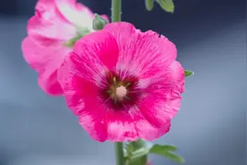 人与人之间的那种感觉图片