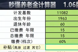 2023年度北京城乡居民养老保险缴费档次，补贴标准，待遇领取图片