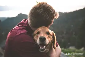 under是“在下面”，dog是“狗”，那么“underdog”是什么意思？图片