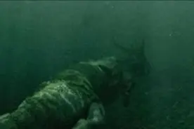 青海湖神秘的水怪三次露面最终失踪图片