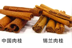 小小中国肉桂，戳破《希罗多德历史》谎言，引起西方伪史全线崩塌图片