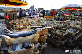 中秋买鱼，这5种鱼都是野生海鱼，不能人工养殖，营养好吃还不贵图片