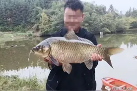 湖南钓友钓中一条8斤重“鲫鱼王”，叹其不易放生，却遭网友责怪图片