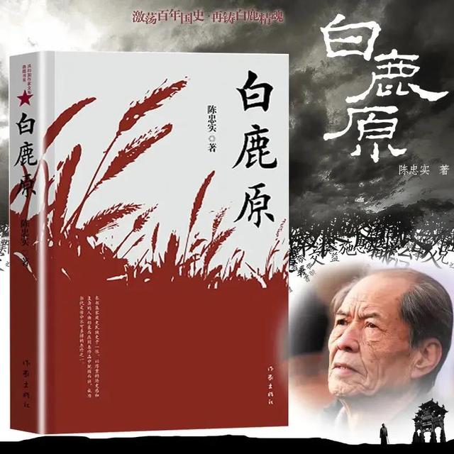 白鹿原的结尾是什么意思（小说白鹿原结尾的隐喻意义）