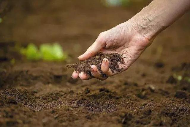 同样是消毒的，碘伏和酒精有啥不一样