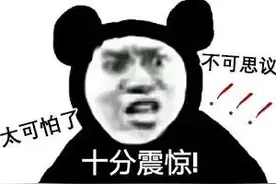 熊猫头目瞪口呆的情包图片