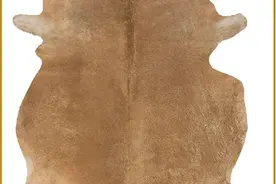 好看又好玩的皮影是怎么制作的？图片