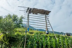 中国最后的秘境，贵州加榜梯田，不收门票景色无敌图片