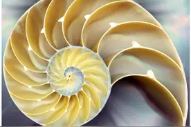 同样都是无理数，它没有π出名，但也竟然如此重要图片