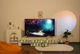画质这么高清细腻的雷鸟电视，我总算是没买错图片
