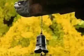 修行中转站——人间图片