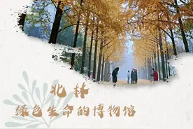 北林，绿色生命的博物馆图片