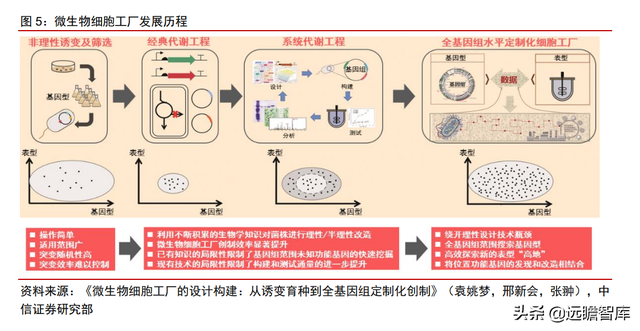 颠覆传统，合成生物：迎来历史发展机遇，乘势而起，引领未来