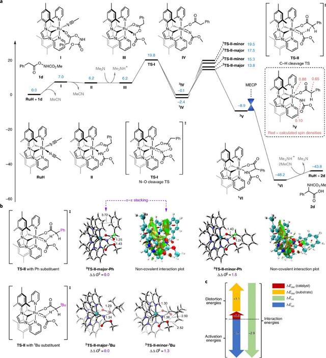 Nat. Chem.：手性α-氨基酸合成新方法——1,3-氮迁移