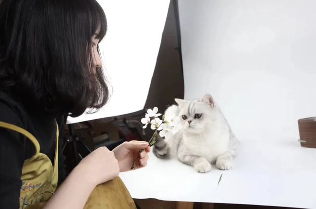 90后美术生坚持手作，在淘宝卖原创摆件，被国外商家疯狂模仿