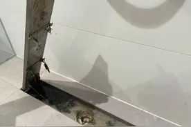 被网红“过度吹捧”的4个家居设计，太容易翻车！不建议大家效仿图片