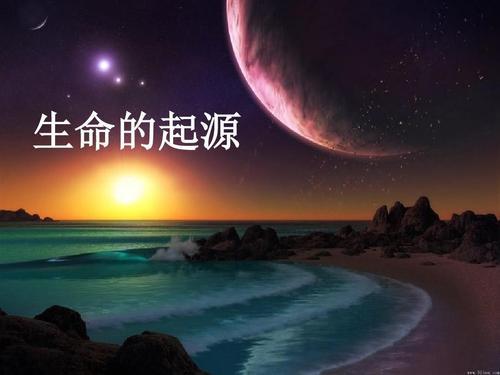 小行星中发现氨基酸，是否意味着人类，可能是外星人的后裔？
