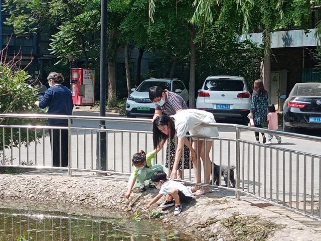 公德心是什么意思（到底什么是公德心）