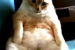 经常打嗝，是疾病信号？3招教你巧妙止嗝→图片