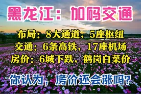 黑龙江2025：8大通道，5大枢纽，市市高铁，17座机场，6城房价跌图片