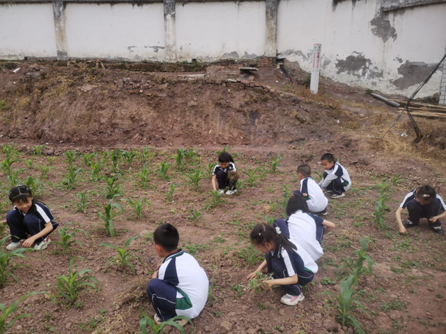 四川省民生研究会新媒体中心-官网