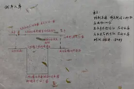 经历三个月的驾考告诉大家C1还是C2好图片
