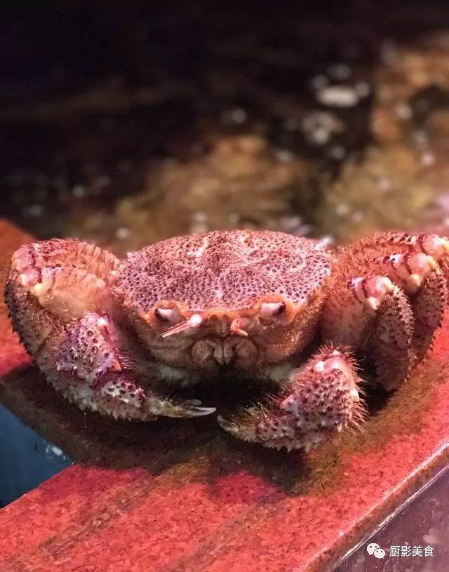 40头的花胶是几级 2025年花胶40头是什么意思?