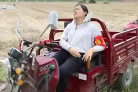 暖！河南一村支书彻夜抢收麦子靠在三轮车上睡着了。照片火遍全网图片