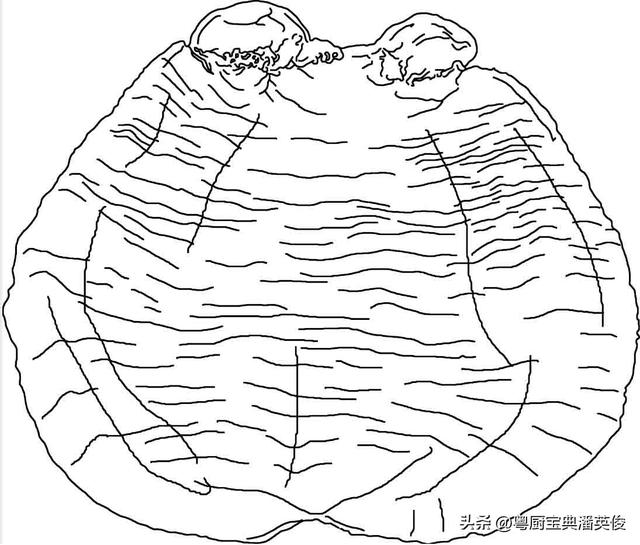 鱼卜是花胶吗 2026年鱼卜是花胶吗还是海鲜