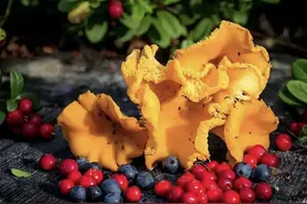 赤身裸体，以大地之子的身份宣泄悲伤……图片