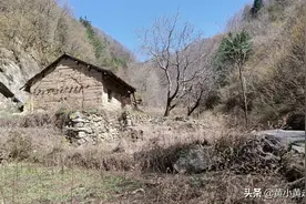 探秘秦岭移民搬迁后的村子，路边石碾盘长满青苔，还有栋无人土屋图片