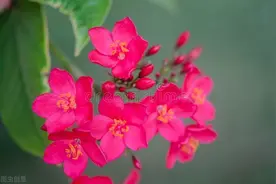 520，写给某人的情书，想你岁岁年年，爱你生生世世图片