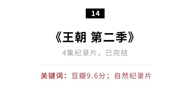 ��߶���9.6����һ���ڣ��Ƽ�20�����ź�Ƭ