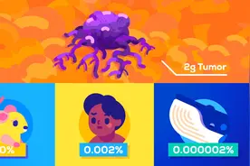 没有1只大象会得癌！佩托悖论：生物体积越小越易患癌，是真的？图片