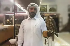 新疆有种鸟每只价值100万，电影《无人区》的演员为此鸟疯狂图片