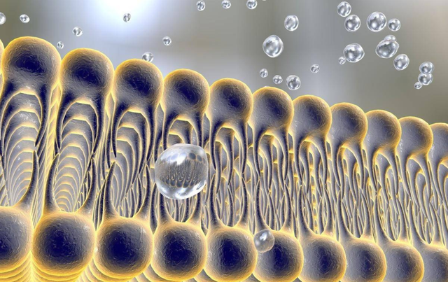 换一种盐可以降低血压？低钠盐是“送命盐”？这次彻底给你讲明白