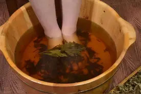 睡前坚持用艾叶泡脚，或能帮你改善这5种问题，建议一试图片