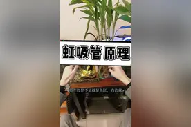 虹吸管的原理，不深入只浅出。希望能帮到您。 #水族#鱼缸#虹吸排水 #虹吸原理 #物理 #教学