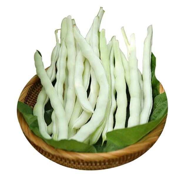 想必豆角都是大家最熟悉的蔬菜品种了,营养价值高,口感好,是我国广泛