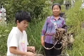 外表畸形的弃儿冬妹的故事，生养六个孩子，五个有遗传病一个丢了图片