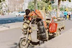 多多买菜分拣第23天图片