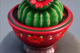 仙人球开花了图片