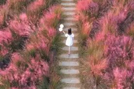 藏不住了！蔡甸的秋天图片