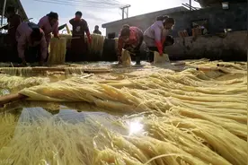 “纯”红薯粉条，用木薯淀粉制作，对人体有害吗？真相来了图片