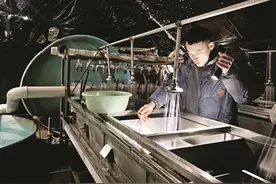 娘子关渔业公司“90后”小伙王宏宇把养鱼当做事业和爱好——当好“鱼保姆”壮大渔产业图片