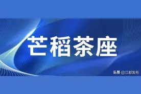 芒稻茶座 | 向农民工兄弟道一声“辛苦了”图片
