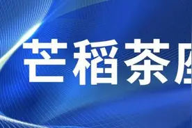 芒稻茶座 | 向农民工兄弟道一声“辛苦了”图片