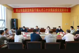 龙州县召开鹤山市选派龙州县干部人才二十大观后感交流座谈会图片
